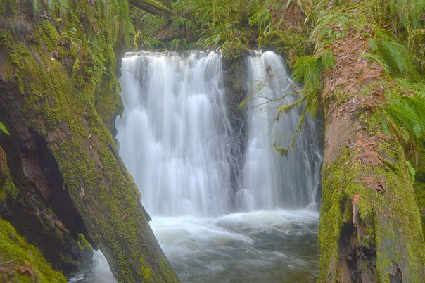 Ueland Tree Farm | Dickerson Falls