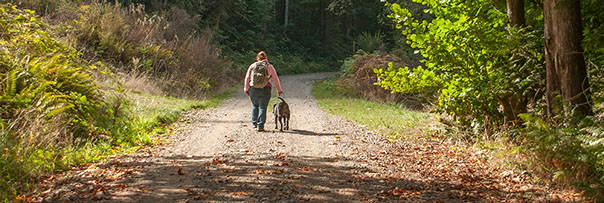 Ueland Tree Farm | Hiking Trails