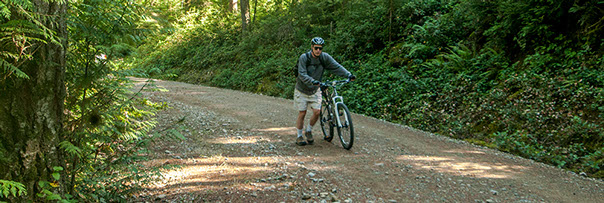 Ueland Tree Farm | Dickerson Falls Ueland Tree Farm | Dickerson Falls